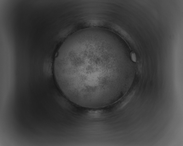 X0000100900450200806241256