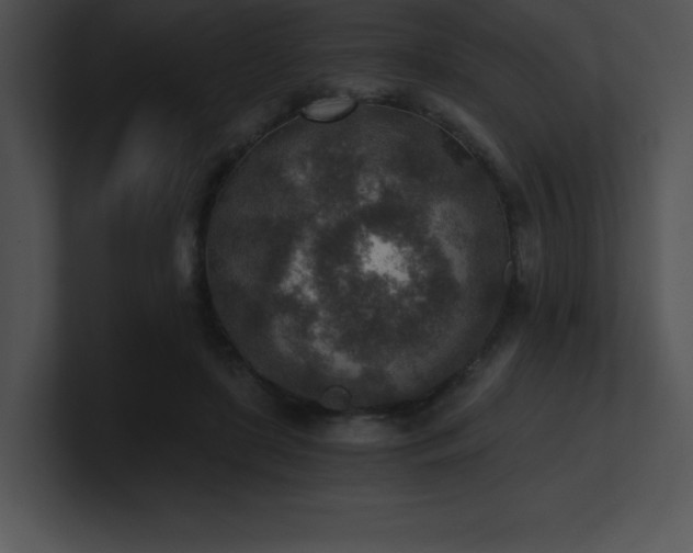 X0000100900451200806241256