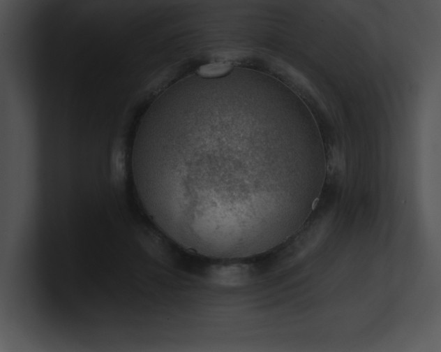 X0000100900452200806241256