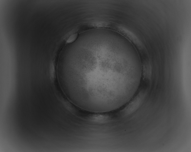 X0000100900453200806241256