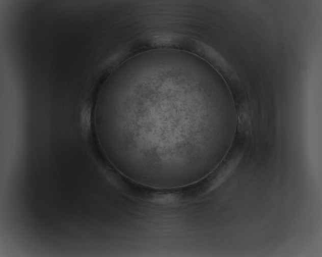 X0000100900454200806241256