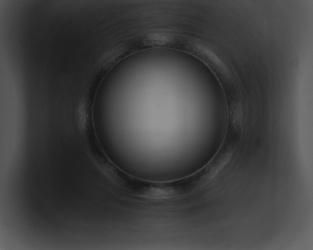 X0000100900455200806241256