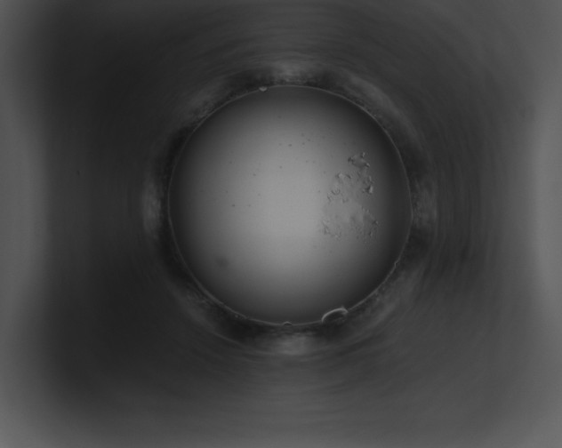 X0000100900456200806241256