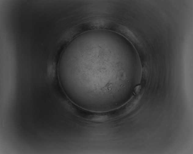 X0000100900458200806241256