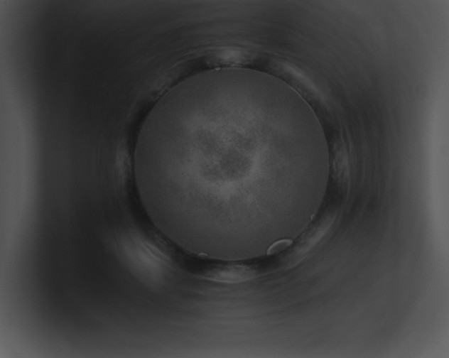 X0000100900459200806241256