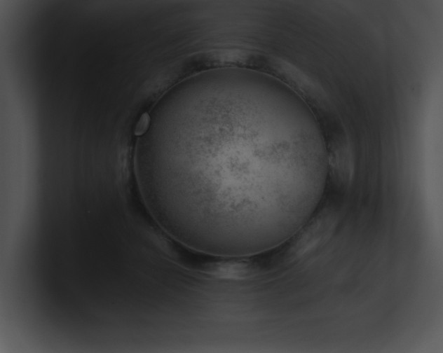 X0000100900462200806241256