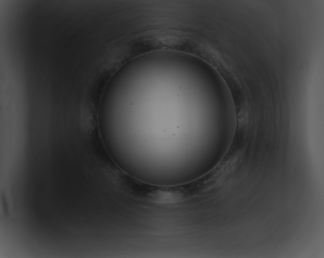 X0000100900464200806241256