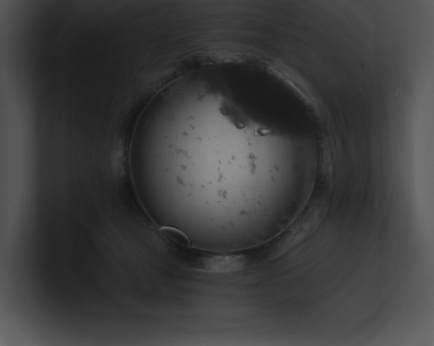 X0000100900465200806241256