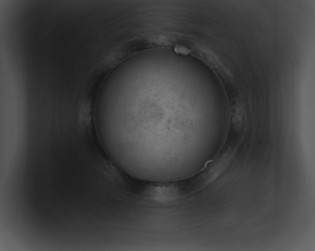 X0000100900466200806241256