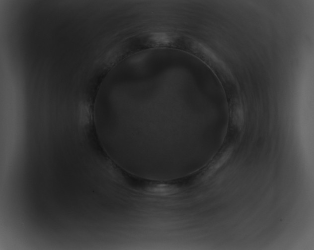 X0000100900467200806241256