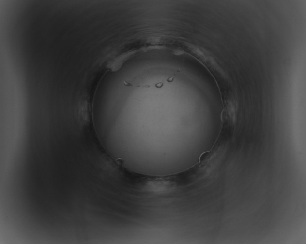 X0000100900470200806241256
