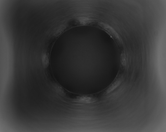X0000100900471200806241256