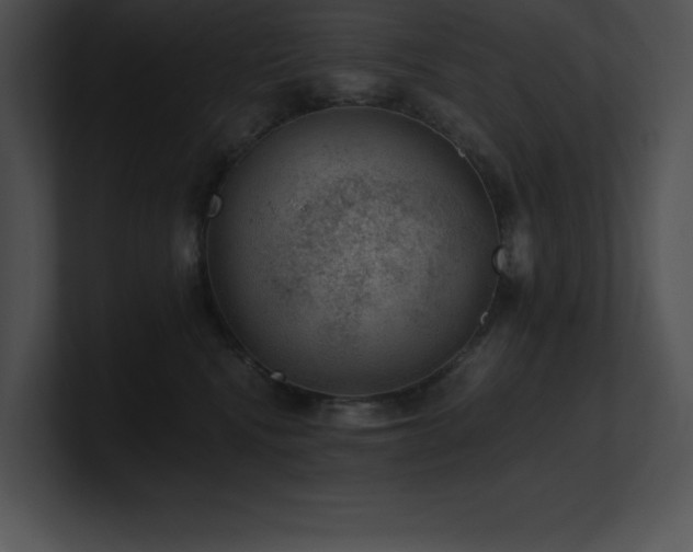 X0000100900472200806241256