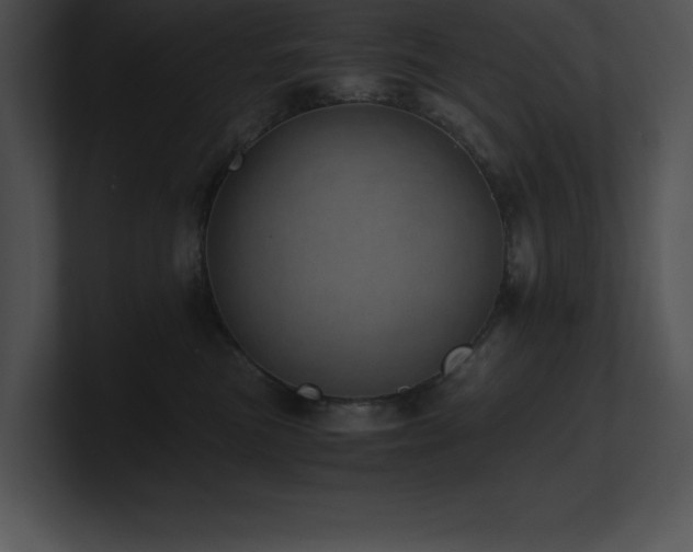 X0000100900473200806241256
