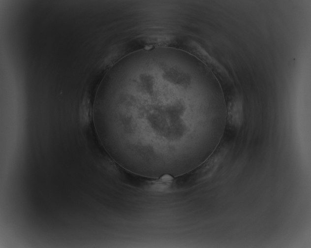 X0000100900474200806241256
