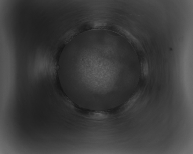 X0000100900475200806241256