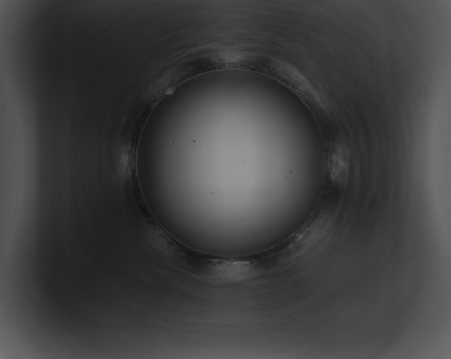 X0000100900476200806241256