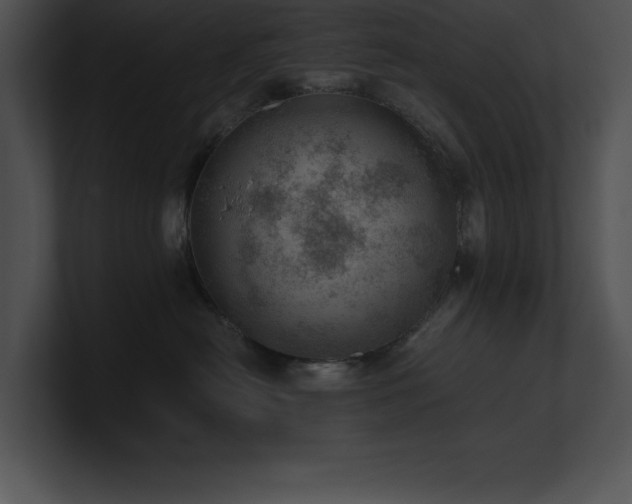 X0000100900478200806241256