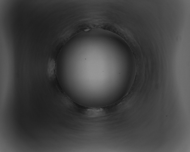 X0000100900480200806241256
