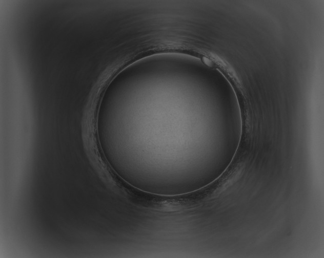 X0000100900481200806241255