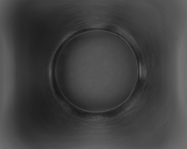 X0000100900483200806241255