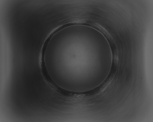 X0000100900484200806241255