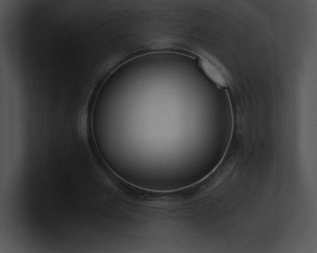 X0000100900485200806241255