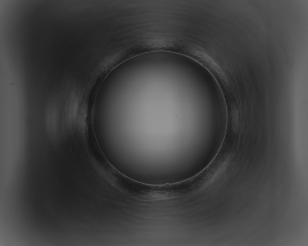 X0000100900490200806241255