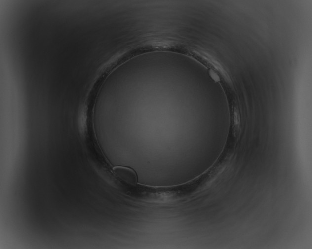 X0000100900492200806241255
