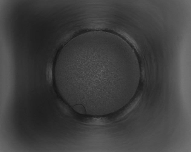 X0000100900493200806241255