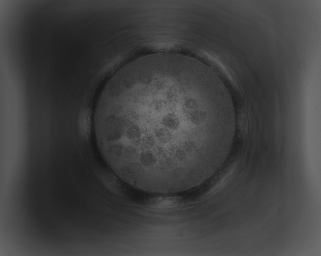 X0000100900495200806241255