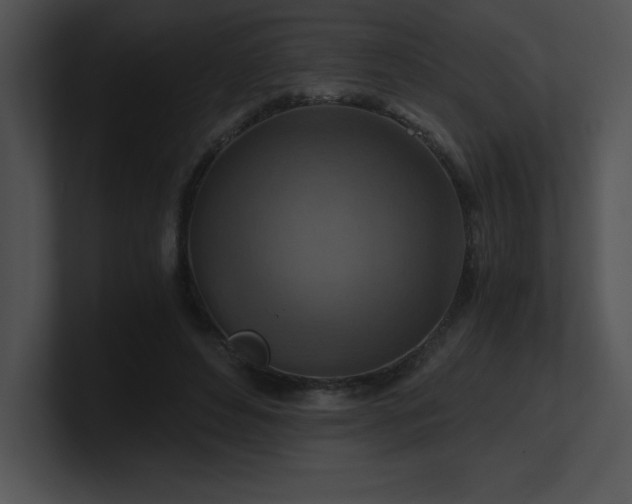 X0000100900496200806241255