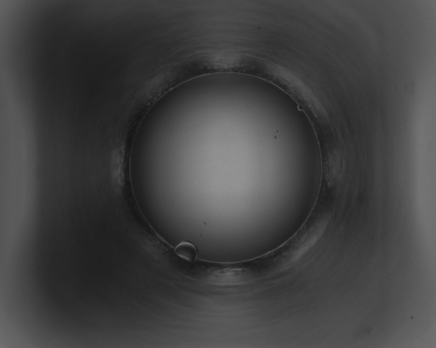 X0000100900497200806241255