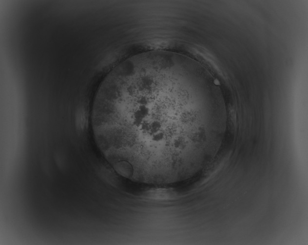 X0000100900499200806241255