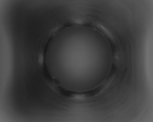 X0000100900500200806241255