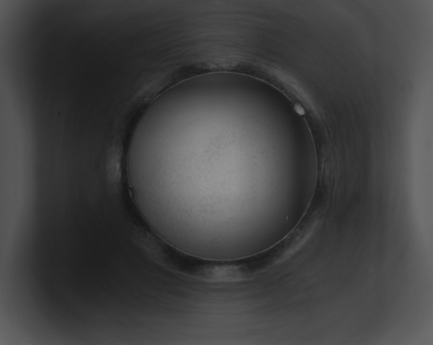 X0000100900501200806241255