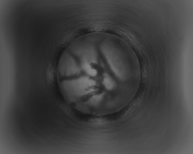 X0000100900503200806241255