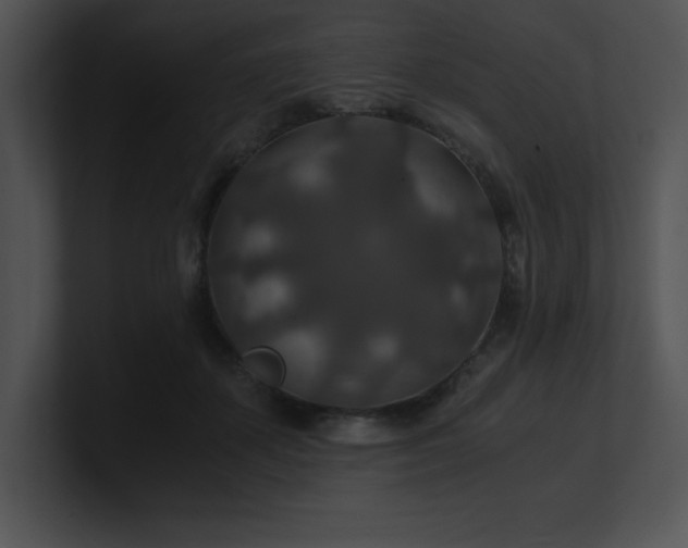 X0000100900507200806241255