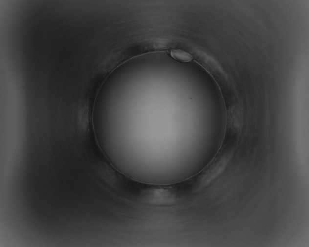 X0000100900509200806241255