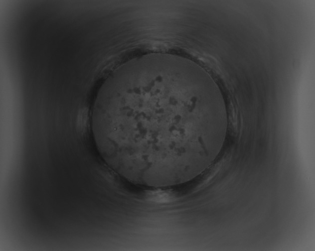 X0000100900511200806241255