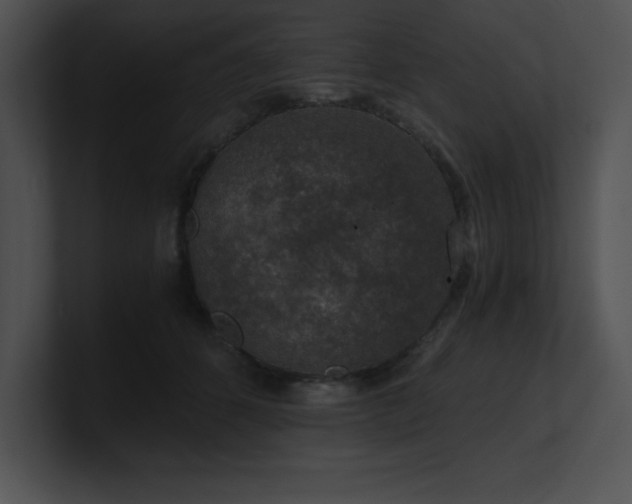 X0000100900512200806241255