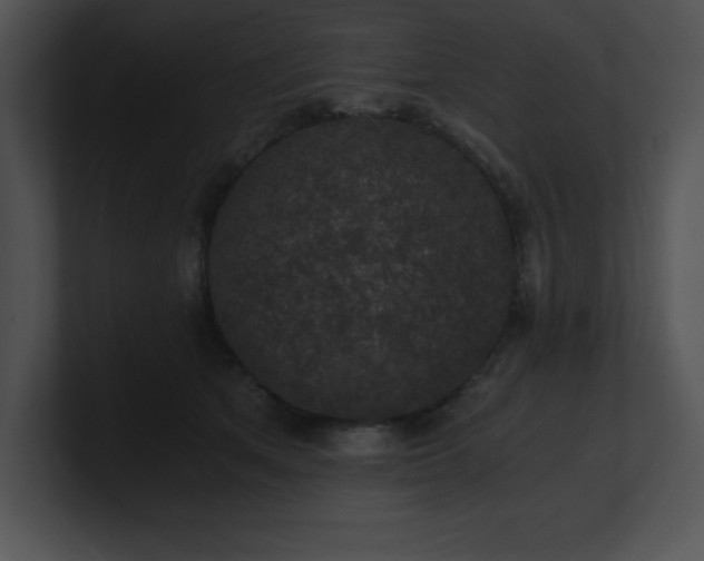 X0000100900513200806241255