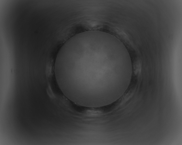 X0000100900515200806241255