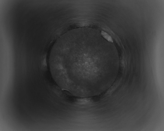 X0000100900516200806241255