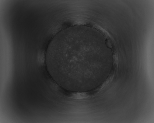 X0000100900517200806241255