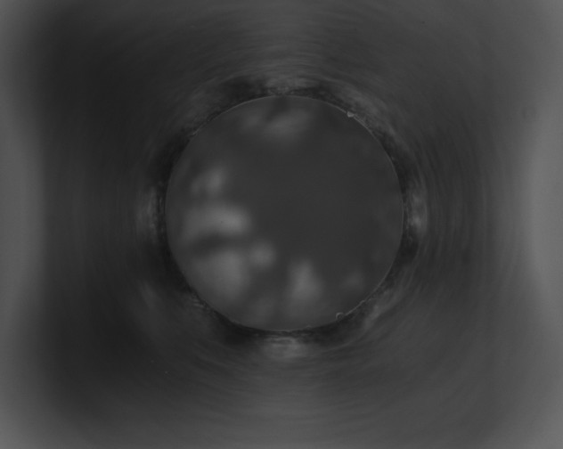X0000100900519200806241255