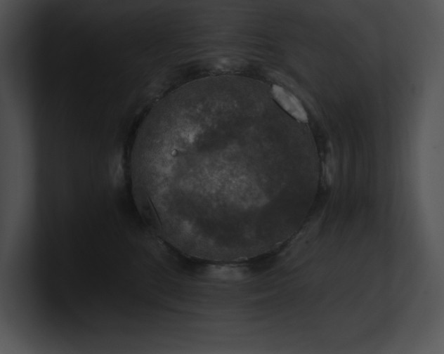 X0000100900520200806241255