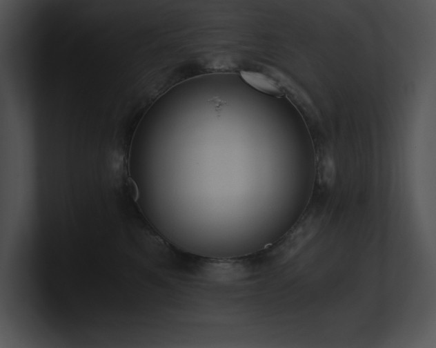X0000100900521200806241255