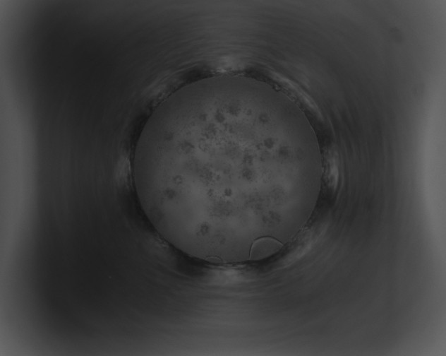 X0000100900523200806241255