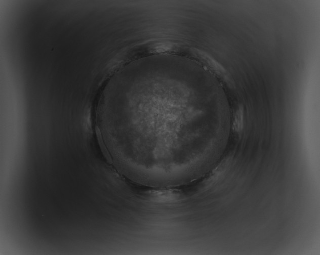 X0000100900524200806241255